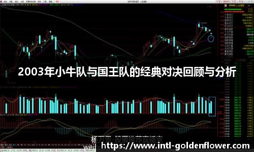 2003年小牛队与国王队的经典对决回顾与分析